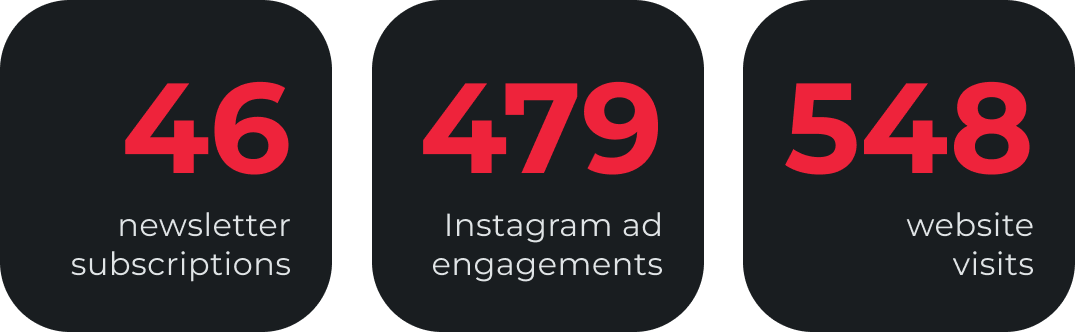 46 newsletter subscriptions, 479 Instagram ad engagements and 548 website visits